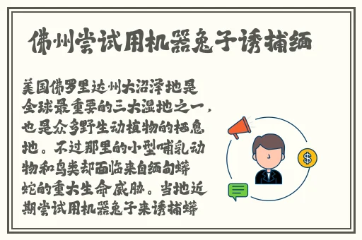 亚洲精品国产品国语在线试