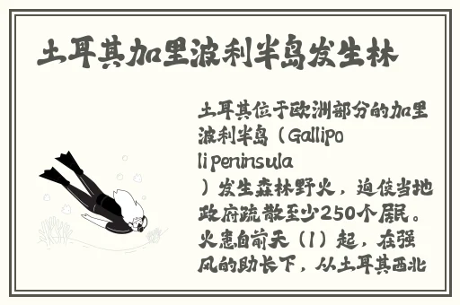 黑料老司机反差婊黑料爆料吃瓜